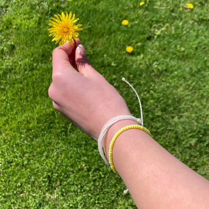 Wax Bracelet Pack | Dandelion